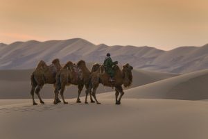  फोटो कर्टसी : किमकिम